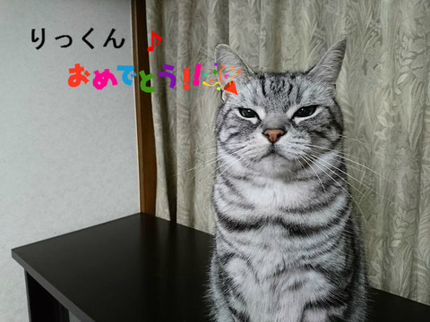 BlogPaint