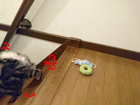 BlogPaint