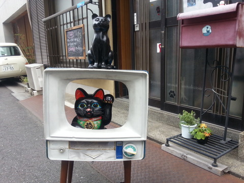 20150425_135303