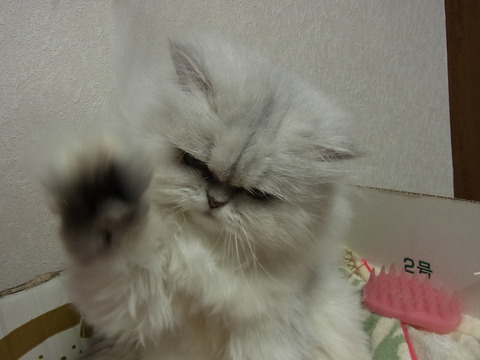 13012030