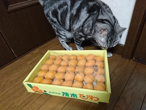 170707801