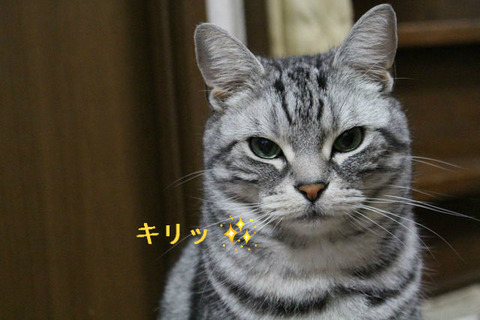BlogPaint