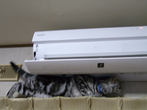 RIMG0911