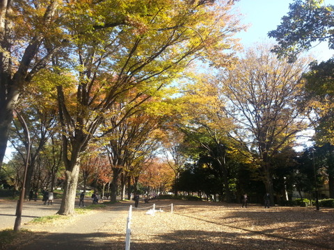 20131123_130901