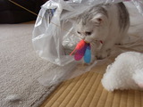 12010213