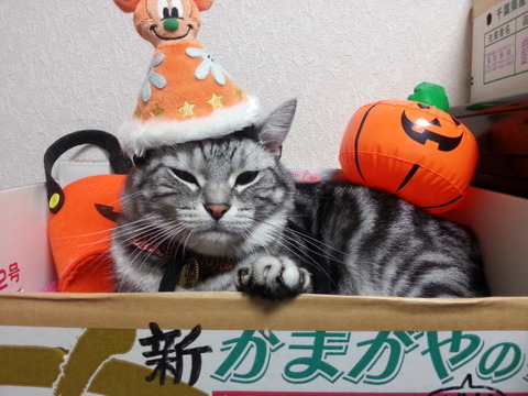 20131029_221237