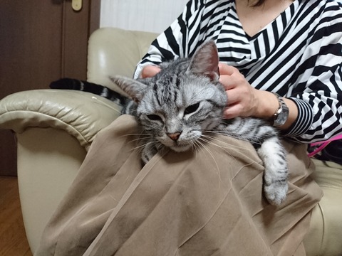 16100100