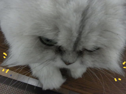 BlogPaint
