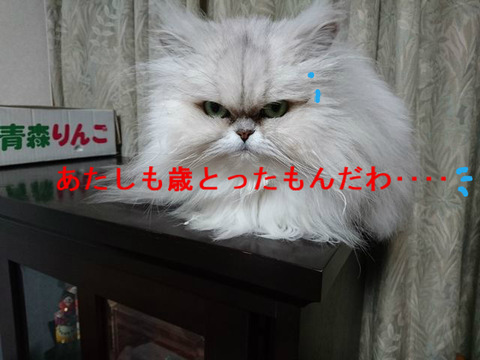BlogPaint