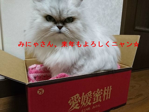 BlogPaint