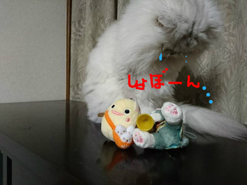 BlogPaint