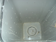 0e58716f.jpg