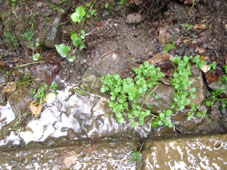 1d69816e.jpg