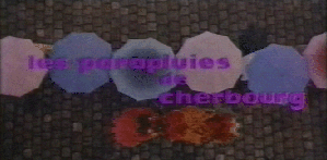 33100071.gif