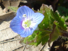 352a980f.jpg