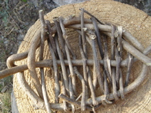 37b69c63.jpg