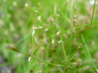4987e623.jpg
