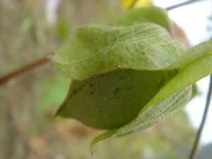 DSC00231
