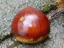 562c7636.jpg