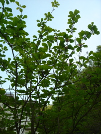 5a822b72.jpg