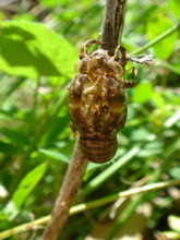 638d52b0.jpg