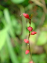 64011b11.jpg