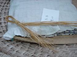 64b7fa31.jpg