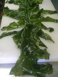 67145e7c.jpg