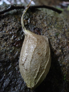 DSC00405