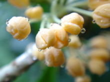 7143e507.jpg