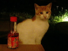 743712cd.jpg