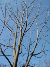 7997c586.jpg