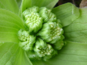 79a69cbd.jpg