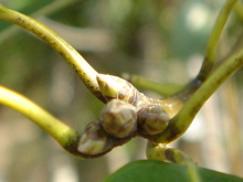 7f2ae001.jpg