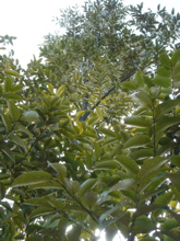8030152e.jpg