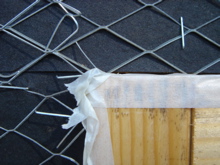 865a5b68.jpg