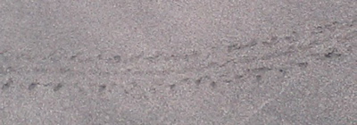 8932eb4d.jpg