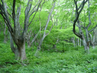 8f57c31d.jpg