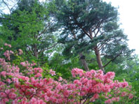 8f7590d0.jpg