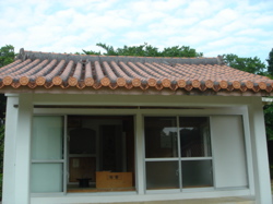 9051c526.jpg