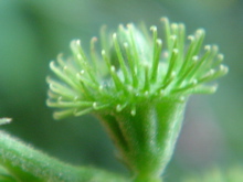 931c733d.jpg