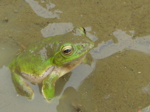 9c9b22f9.jpg