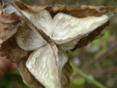 DSC00295