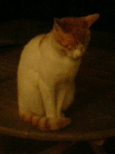 aa765b9e.jpg