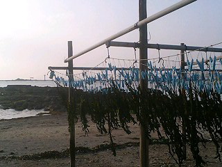 b09b0190.jpg