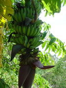 b7f076f2.jpg