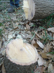 b965415b.jpg