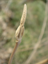 bb67cc9e.jpg