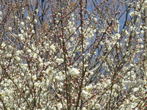 c52c83d0.jpg