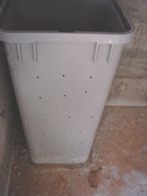 cfa49054.jpg